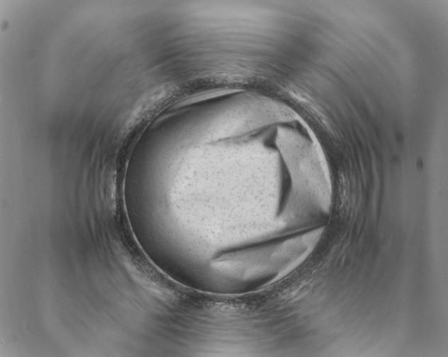 X0000088460494200706121508