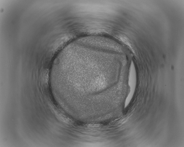 X0000088460495200706121508