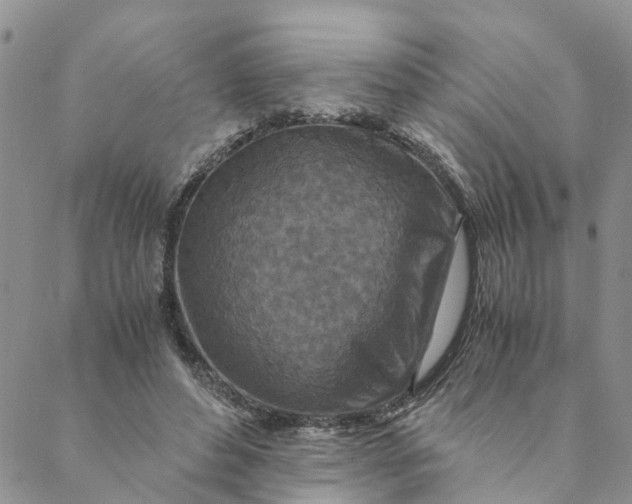 X0000088460496200706121508