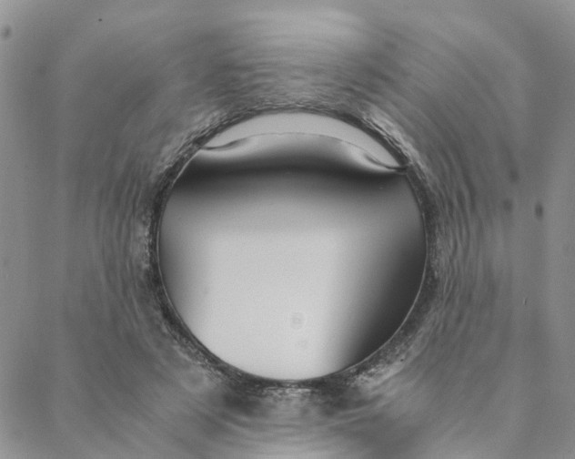 X0000088460497200706121508