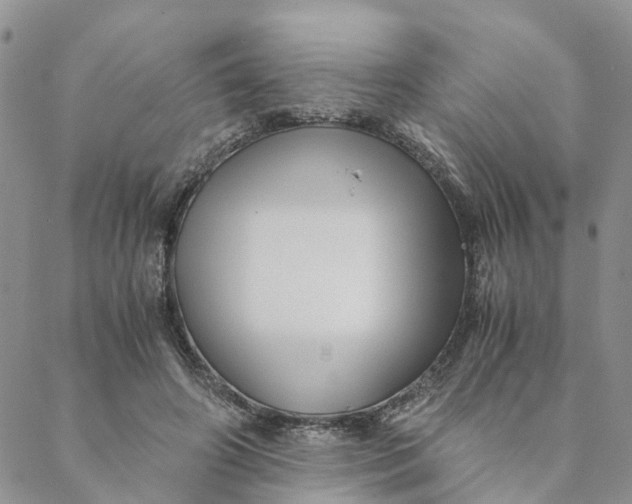 X0000088460498200706121508