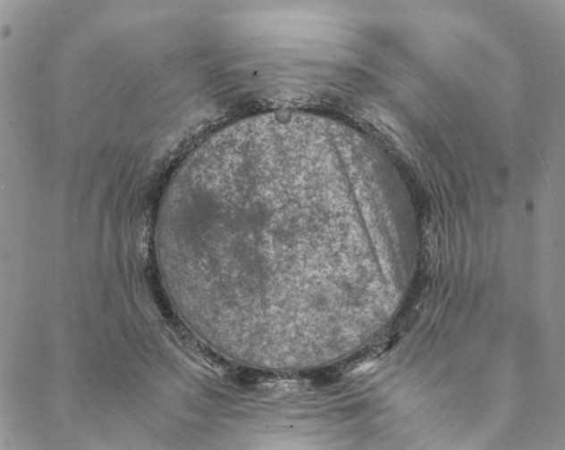 X0000088460499200706121508