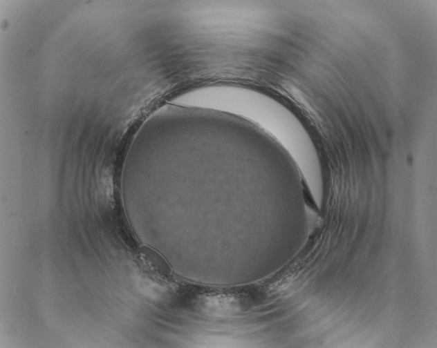 X0000088460500200706121508