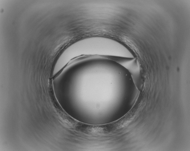 X0000088460501200706121508