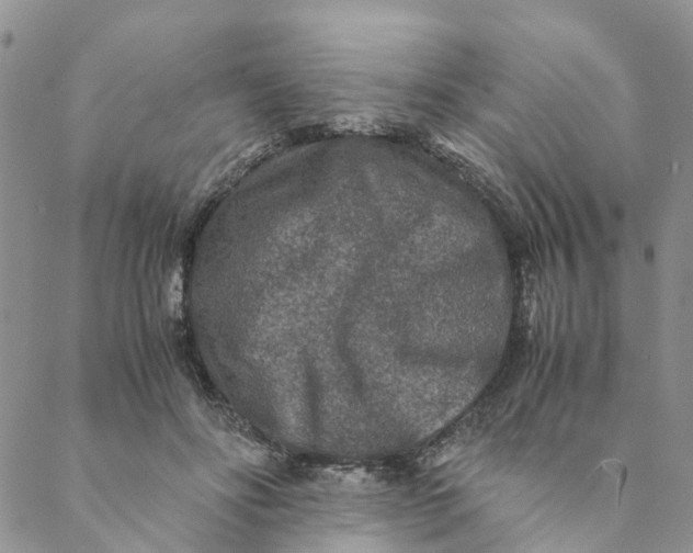 X0000088460502200706121508