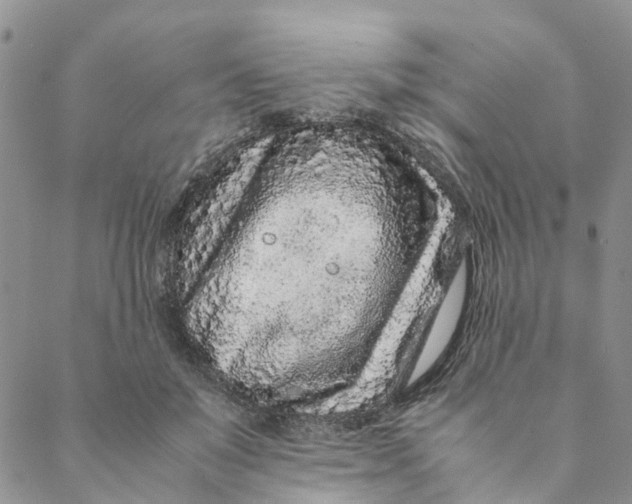 X0000088460503200706121508