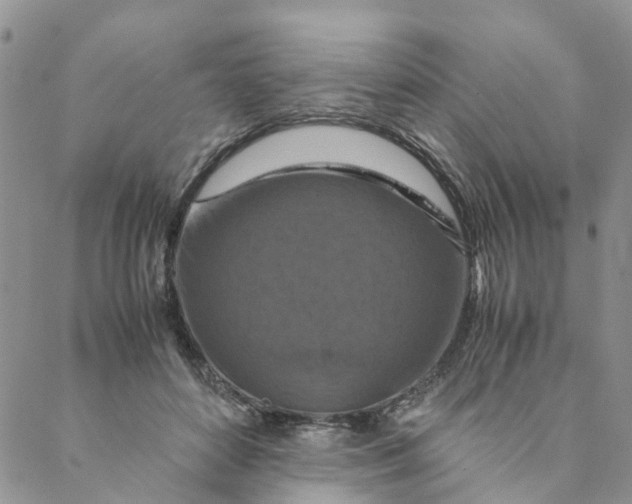 X0000088460504200706121508