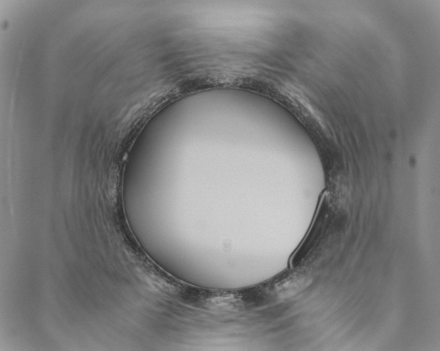 X0000088460505200706121508