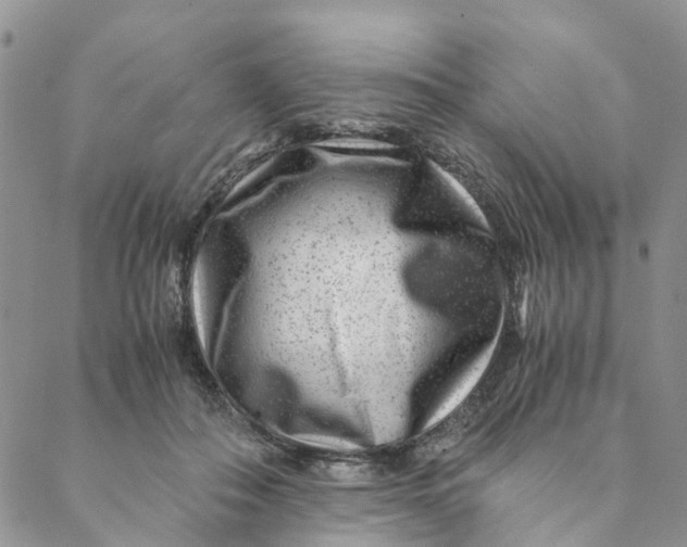 X0000088460506200706121508