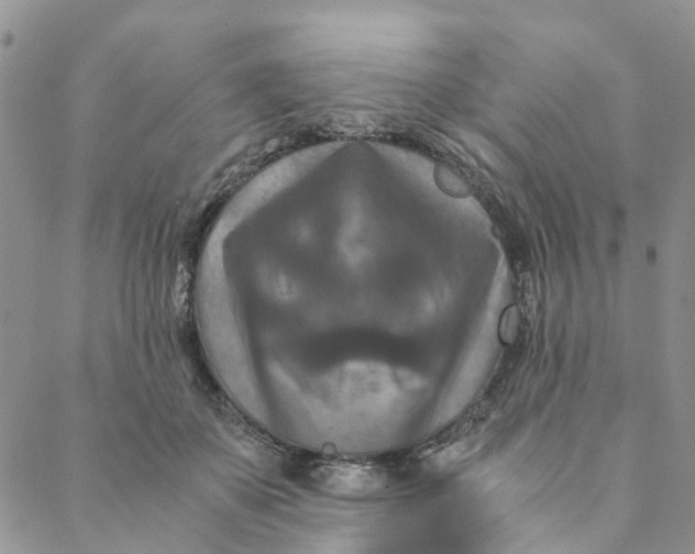 X0000088460507200706121508