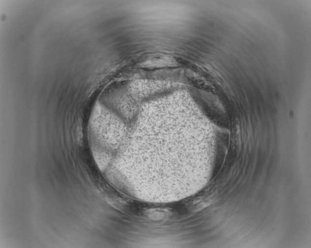 X0000088460508200706121508