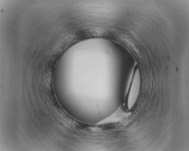 X0000088460509200706121508