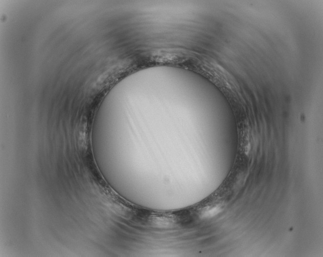 X0000088460510200706121508