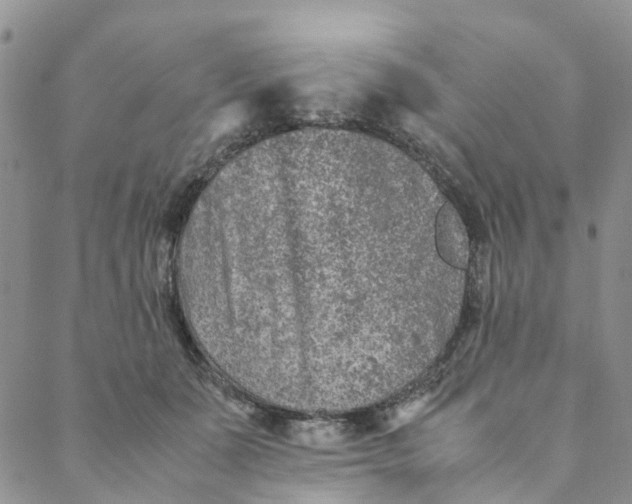 X0000088460511200706121508