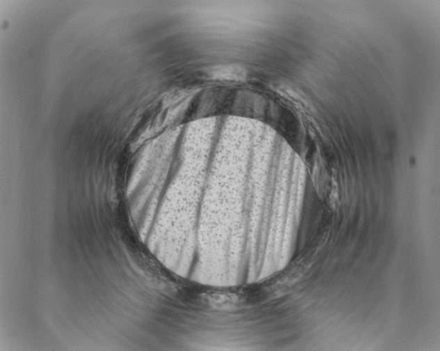 X0000088460512200706121507