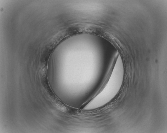 X0000088460513200706121507