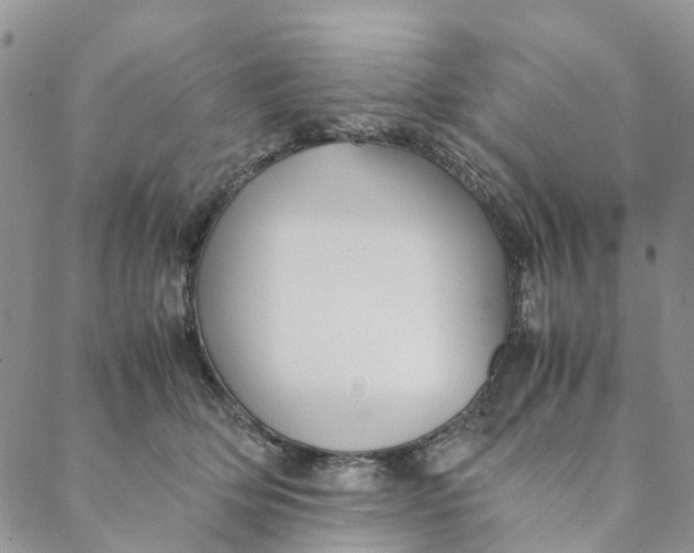 X0000088460514200706121507