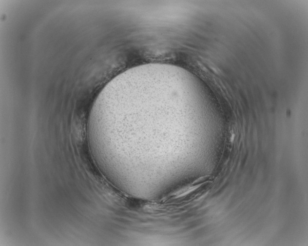 X0000088460515200706121507