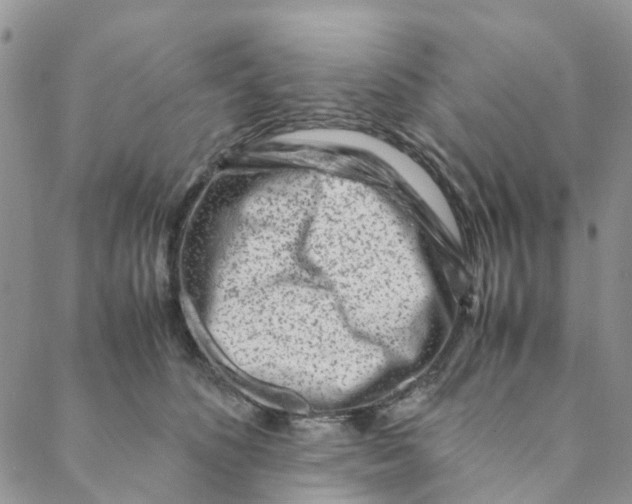 X0000088460516200706121507