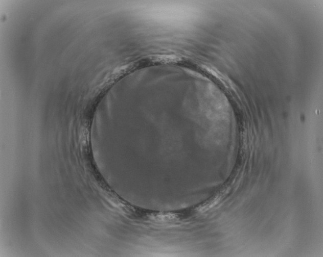 X0000088460517200706121507