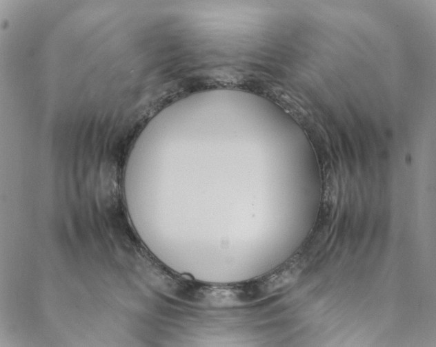 X0000088460518200706121507