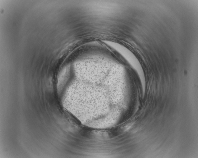 X0000088460520200706121507