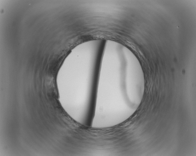 X0000088460521200706121507