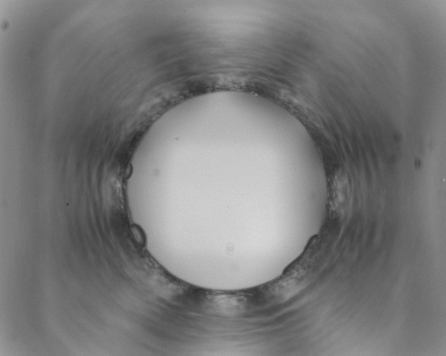 X0000088460522200706121507