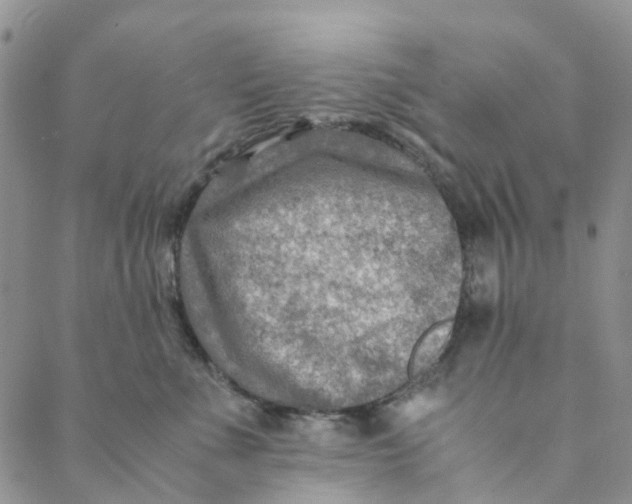 X0000088460523200706121507