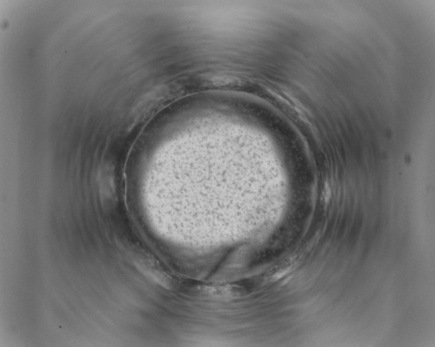 X0000088460524200706121507