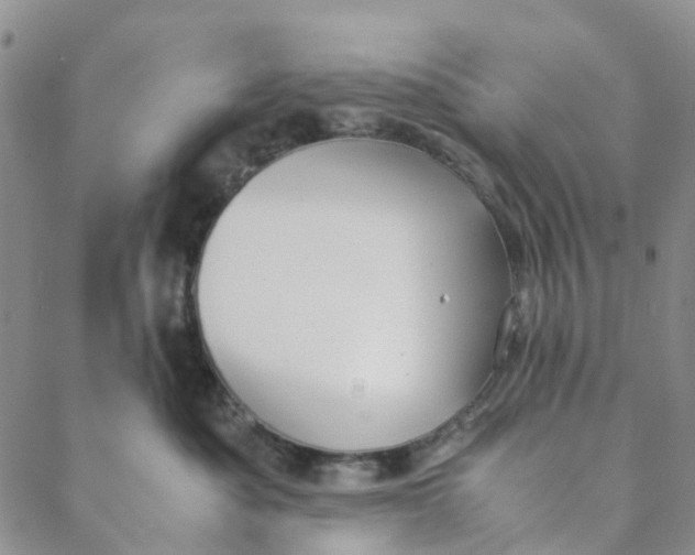 X0000088460525200706121507