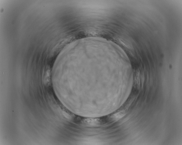 X0000088460526200706121507