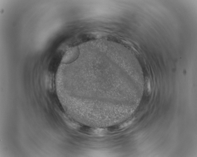 X0000088460527200706121507