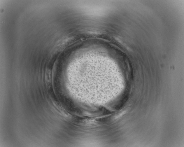 X0000088460528200706121507