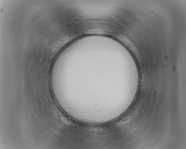 X0000088460529200706121506