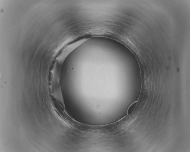 X0000088460530200706121506