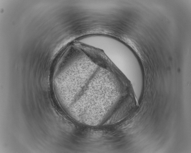 X0000088460531200706121506