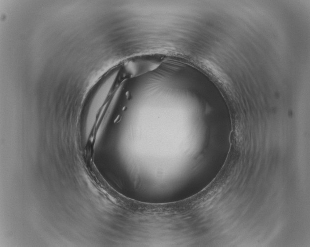 X0000088460532200706121507