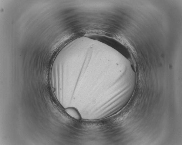 X0000088460533200706121507