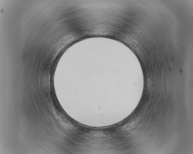 X0000088460534200706121507