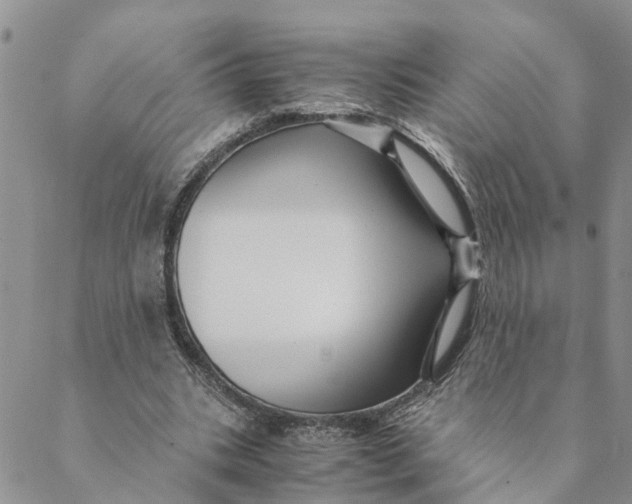 X0000088460535200706121507