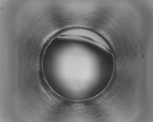 X0000088460536200706121507