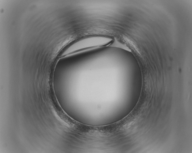 X0000088460538200706121507