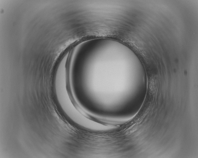 X0000088460540200706121507