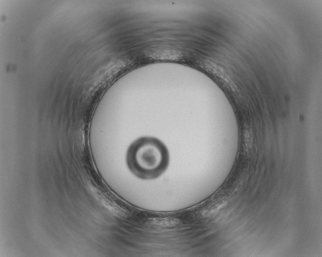 X0000088460541200706121507