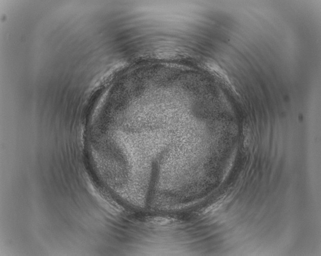 X0000088460542200706121507