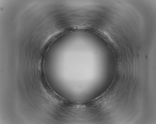 X0000088460543200706121507