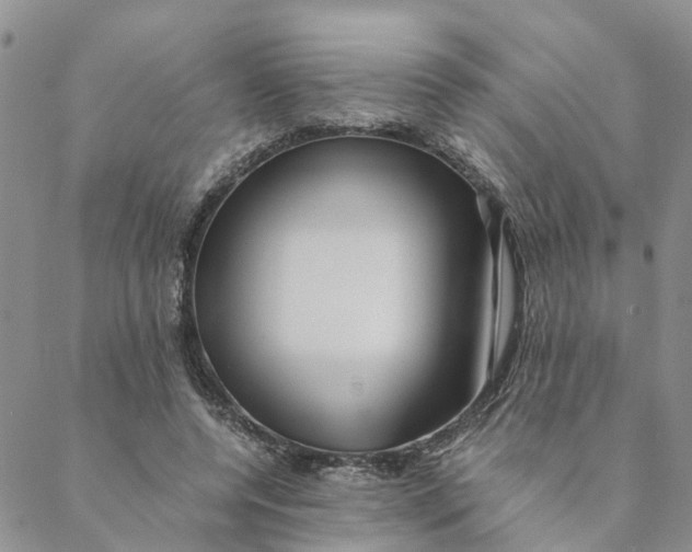 X0000088460544200706121507