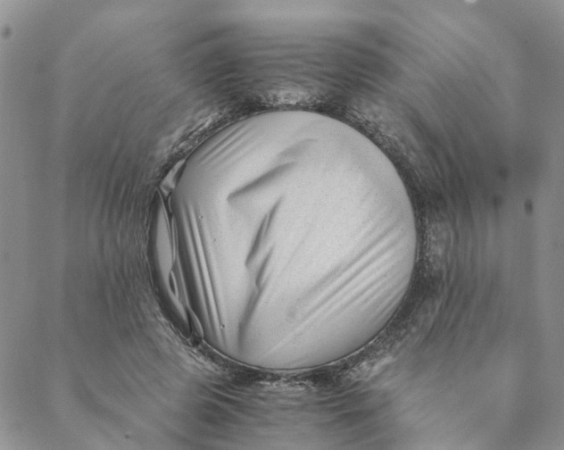 X0000088460545200706121507