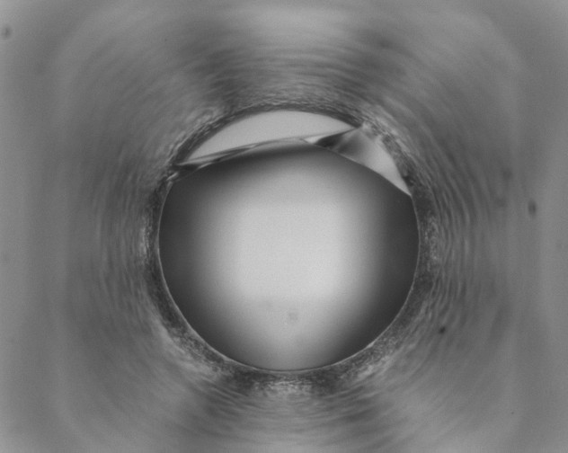 X0000088460546200706121507